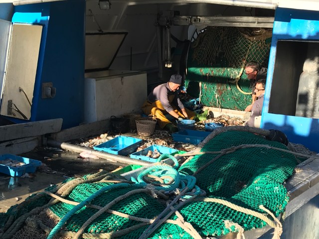 3_Fische sortieren.JPG