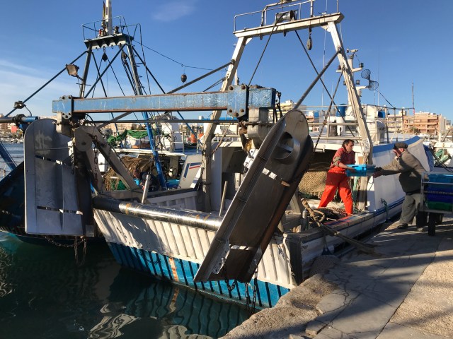 4_Fish unloading.JPG