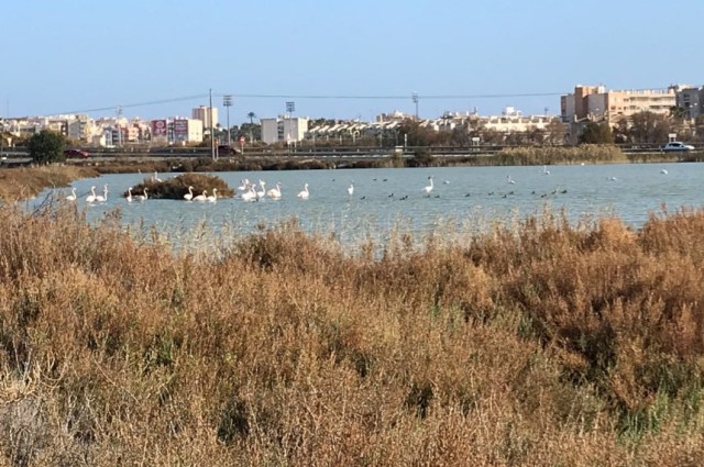 Salinaspark 1 real.jpg