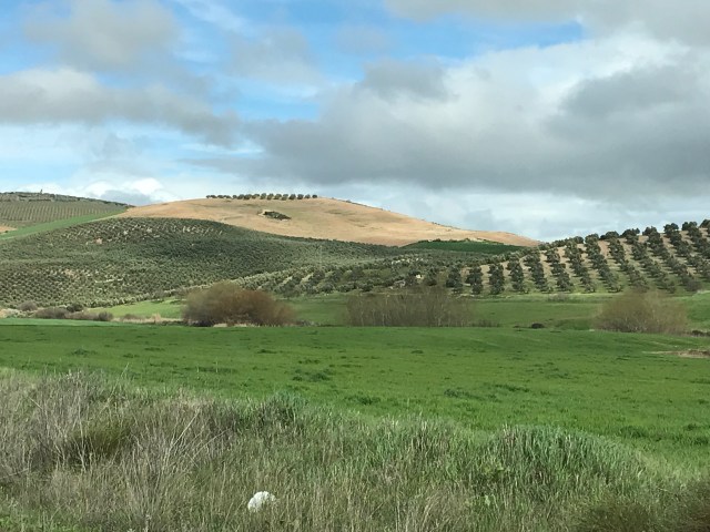 2_Ronda Granada 1.JPG