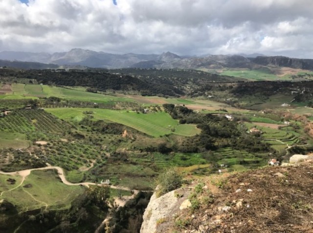 Ronda Umgebung.jpg