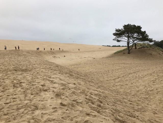 Dune Wüste.jpg