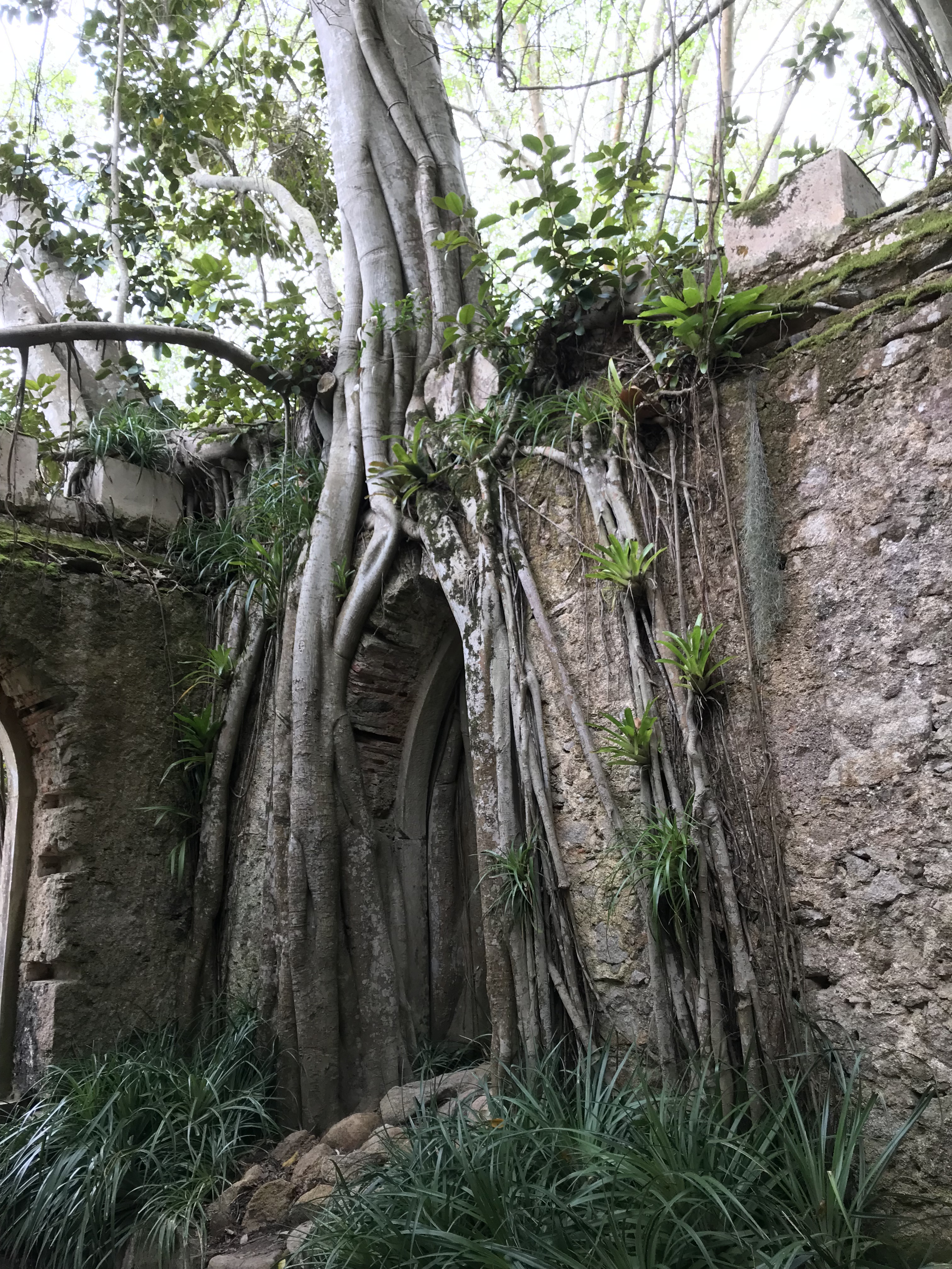 Kapelle Monserrate x.JPG