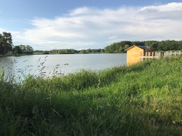 Lac de Rillé 5_Lac x