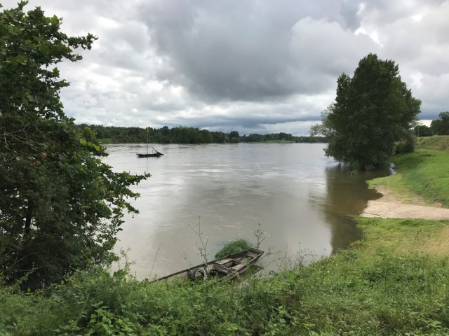 Loire arbres dans lEau x.jpg