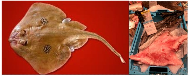 Savonn_Ailes de Raie Beurre de Capres_x