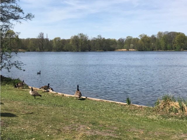 3_Dutzendteich