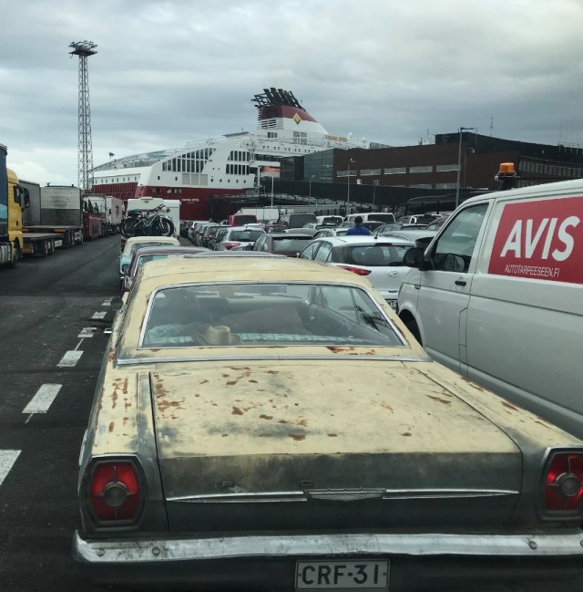 102_14_AmericanBeauties