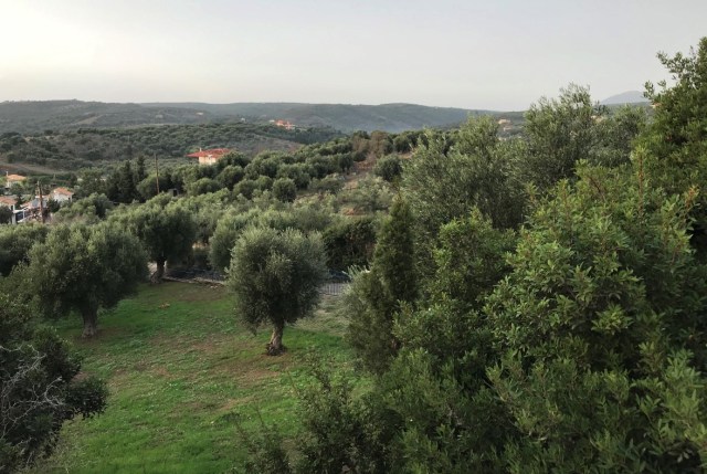 111_20_Road_to_Finikounda