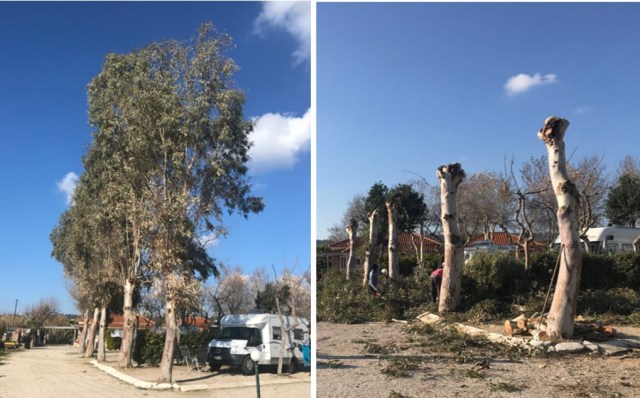 114_22_VorherNachher