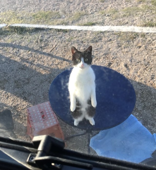 117_17_WideliWädeli_Frühstück