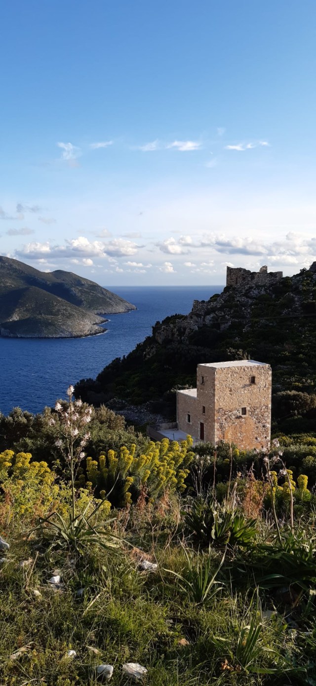 c21086c2-0559-4b6d-a29e-8f580a8ff7d8