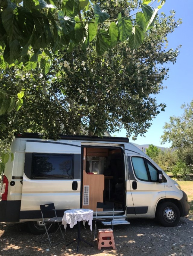 128_08b_Baumschatten