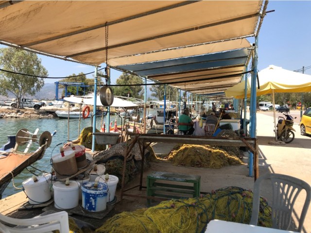 129_14_NeaKios_Fischerhafen