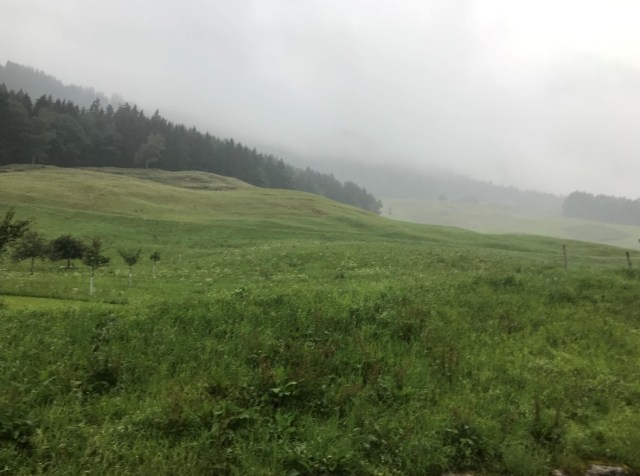 132_07_ZebuhofHügel